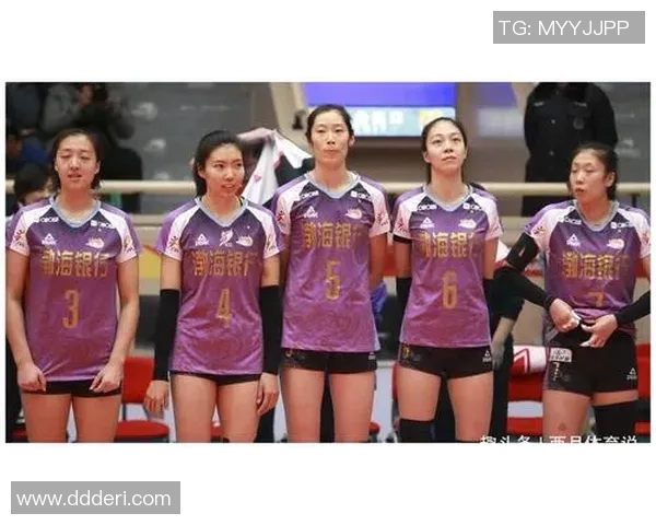 深圳排球队个人能力深度对比分析与发展潜力探讨 深圳排球队个人能力深度对比分析与发展潜力探讨