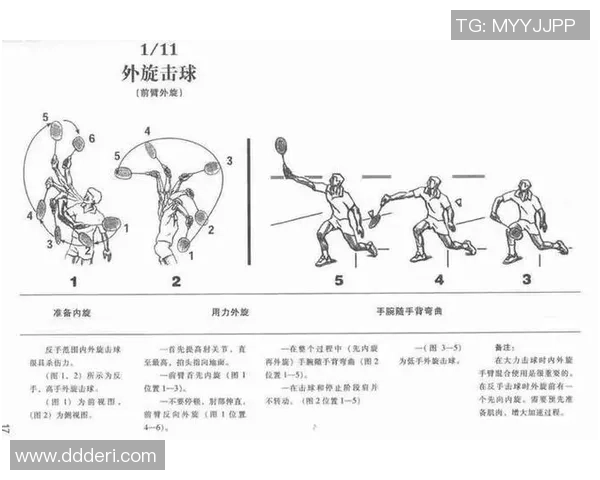 网球新手必看：从零基础到实力提升的全面入门指南